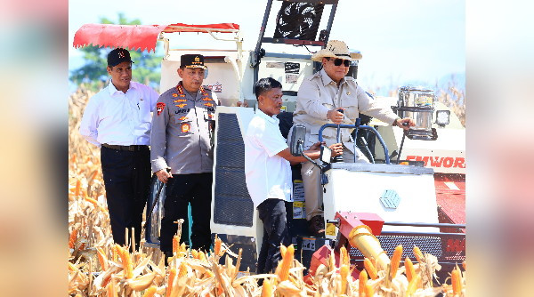 Panen_jagung_Prabowo_dan_Kapolri.jpg